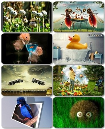 ������� ���������� ��� ����� � �������� (������ 3)