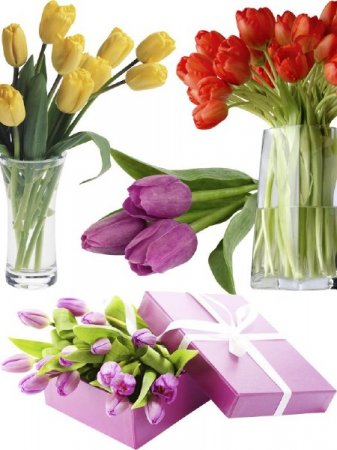 �������� - ��������� �������� (����� ������)