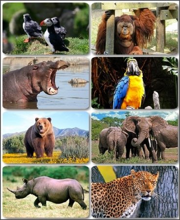 ������������ ��� �������� ���� ��� �������� �����