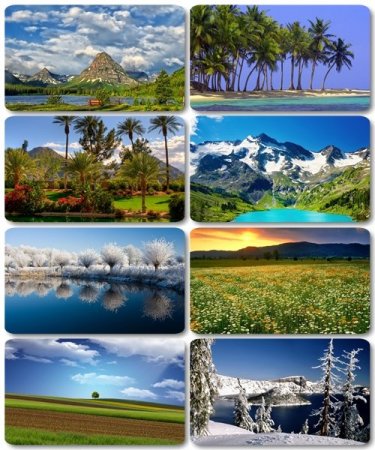 ���� � ��������� ��������� - 200 ���������� �������