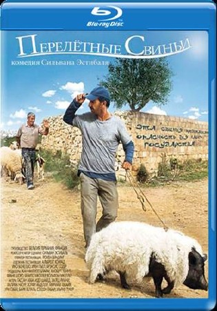   / When Pigs Have (2011) HDRip