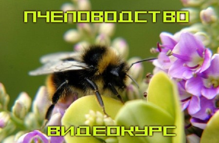 �.�������. ������������. ��������� (10 �� 10 ������) (2010) DVDRip