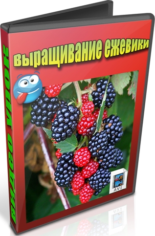 ����������� ������� (2013) DVDRip