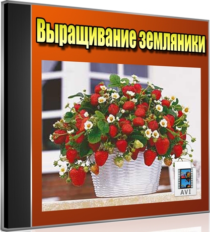 ����������� ��������� (2012) DVDRip