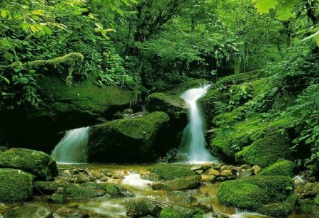 ��������� ������������� �� KScreensavers (45 ��.) 2012 - 2013