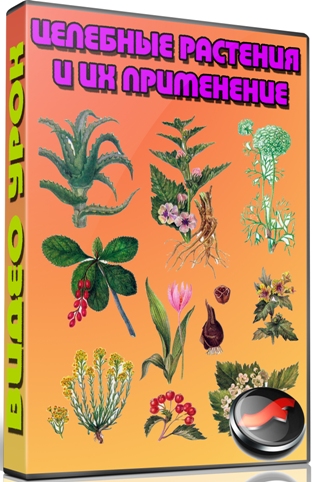 �������� �������� � �� ���������� (2012) DVDRip