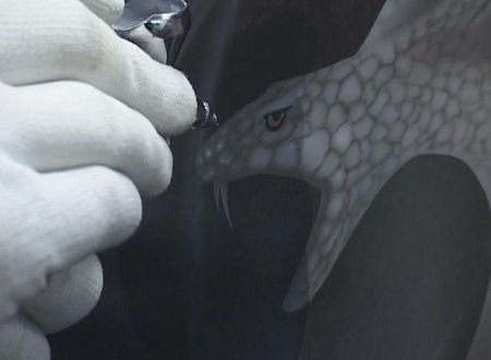 ���������� �� ���� ������ ������ (2010/DVDRip) ���������