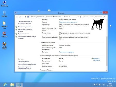 Windows 8 & 7 x86-x64 Mega Gibrid 2013 1.0 (2013/RUS)