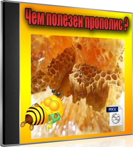 ��� ������� �������� (2012) DVDRip