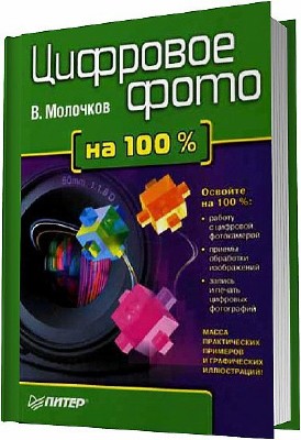 �������� ���� �� 100% (2006) PDF