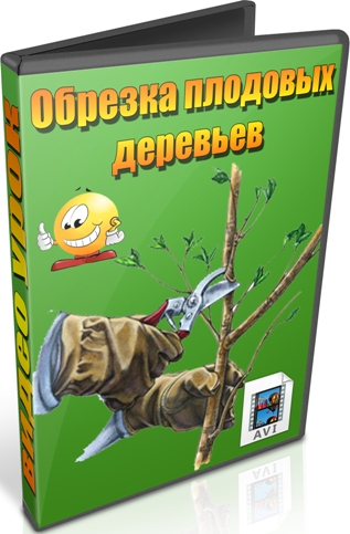 ������� �������� �������� (2012) DVDRip