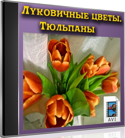 ���������� �����. �������� (2012) DVDRip