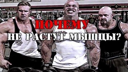 ������ �� ������ �����? (2012) DVDRip