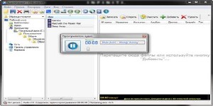CDBurnerXP 4.5.1.3868 Final + Portable (2013) RUS