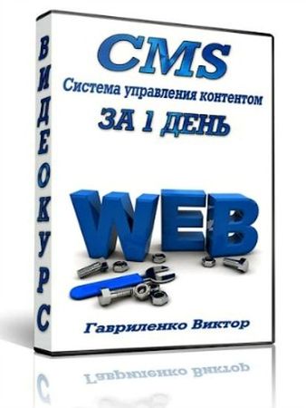 ������ ���������� - CMS �� 1 ���� (2013) PCRec
