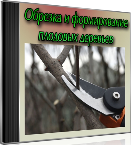 ������� � ������������ �������� �������� (2013) DVDRip