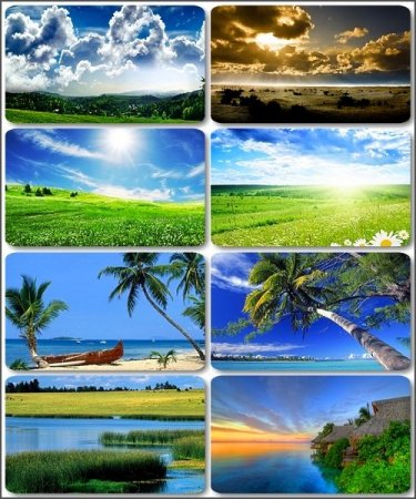 ���� � ������������ �������� - 195 ������������ ����