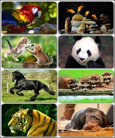 ���� � ��������� - 325 ����� HD ��������