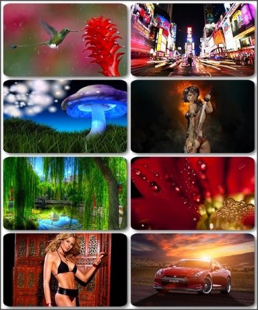 ����������� ����� ��� �������� ����� - 255 HQ  ��������