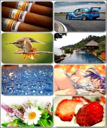 ������� ����� ��� ���������� - 265 HD ��������