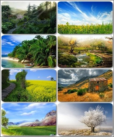 HD ���� � ������������ �������� - 350 ����������