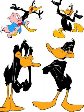 ����� ���  - �������� ��������� �����������