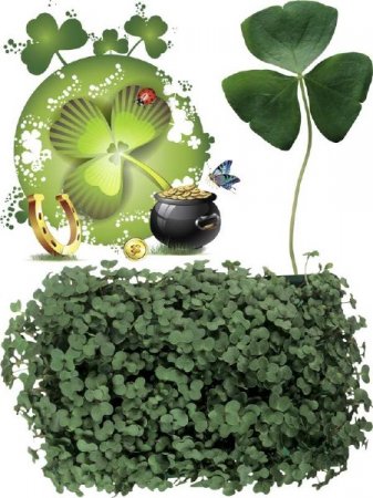 ������ - ��������� ��������