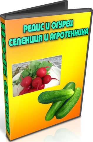 ����� � ������. �������� � ����������� (2013) DVDRip