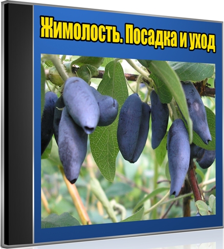 ���������. ������� � ���� (2012) DVDRip