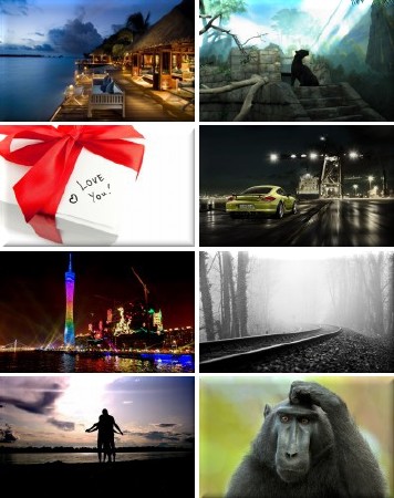 Amazing Wallpapers for desktop -    .  112