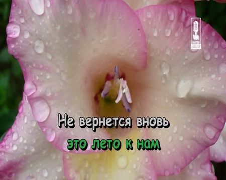 Для тебя одной. Часть 4 - Караоке (DVD5) Для тебя одной. Часть 4 - Караоке (DVD5)