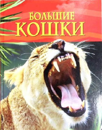     / Big Cat Challenge (2002) SATRip