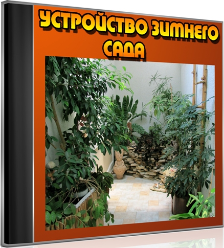 ���������� ������� ���� (2012) DVDRip