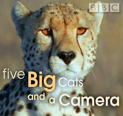      / Five Big Cats and a Camera (2004) SATRip