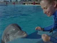 ������ �� ��������? / Dolphins Deep Thinkers? (2003) TVRip