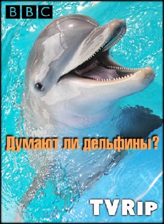   ? / Dolphins Deep Thinkers? (2003) TVRip
