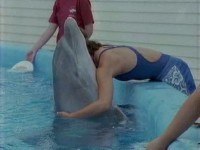 ������ �� ��������? / Dolphins Deep Thinkers? (2003) TVRip