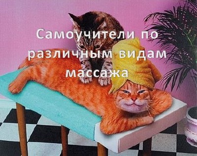 C���������� �� ��������� ����� ������� (24 �����) 2013/FB2