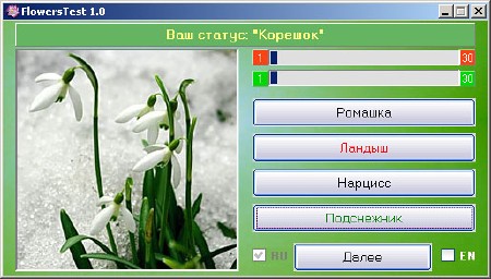 ����������� ���������� �� �������� FlowersTest 1.0
