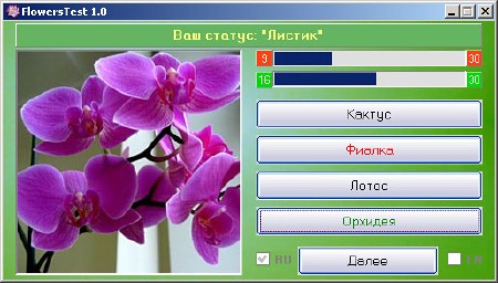 ����������� ���������� �� �������� FlowersTest 1.0