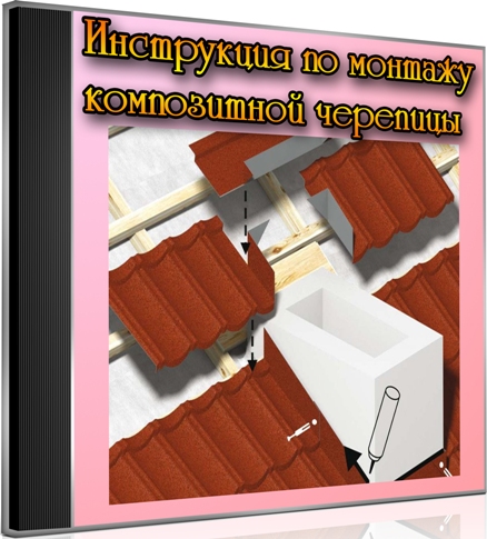 ���������� �� ������� ����������� �������� (2012) DVDRip