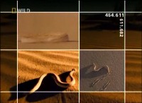 ��������� �������: ���������� / Built for the Kill: Hidden (2002) DVDRip