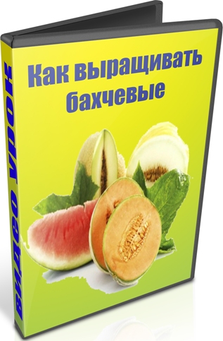 ��� ���������� �������� (2012) DVDRip