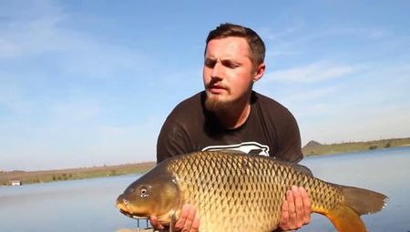 ������� ������ ���������  ����� �����. (2013) WEB-DLRip