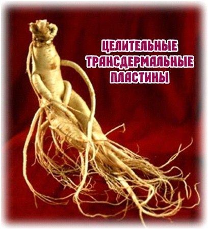 ����������� ��������������� �������� (2012) DVDRip