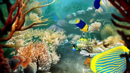 3Planesoft 3D Screensavers Plus All in One 80 (2013/RUS/ENG) RePack by shurfic