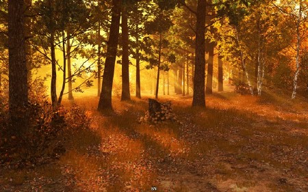 3Planesoft 3D Screensavers Plus All in One 80 (2013/RUS/ENG) RePack by shurfic