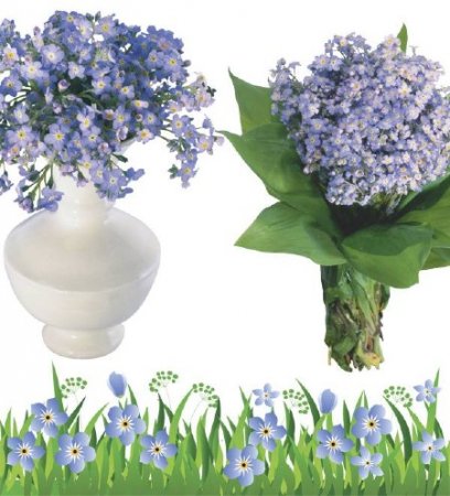 ��������� - ��������� ��������