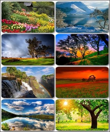 �������� � ���������� �������� - 195 HQ �����