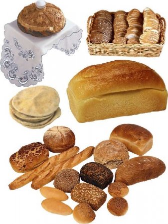 ����, �������, �������, �����, �������� - ��������